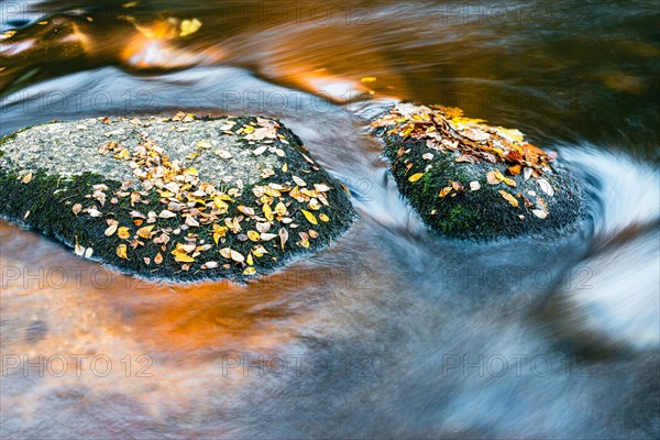The Amber River or The Golden River