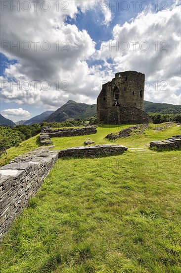 Ruins of a Medieval Castle