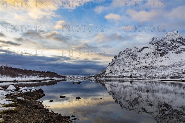 Winter panorama