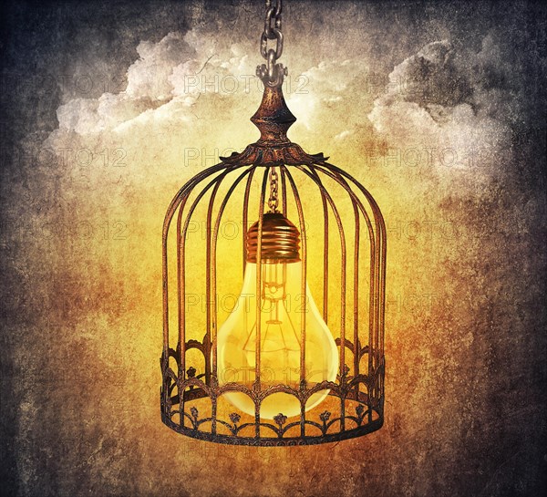 Light bulb locked in a old cage