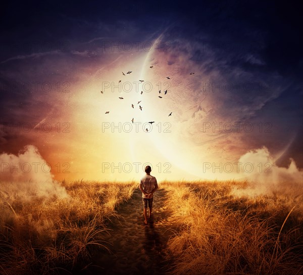 Boy walking relaxed on a path and sees birds on bright horizon