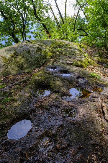 Prehistoric shell stones