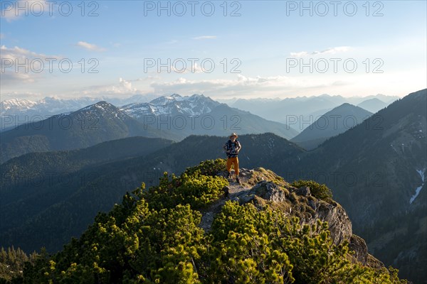Hiker on hiking trail with mountain pines