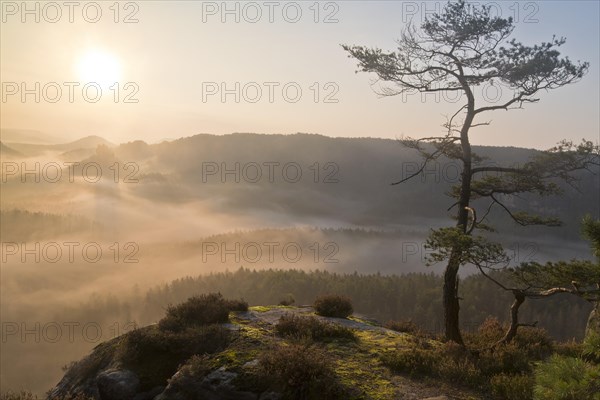 View from Kleiner Winterberg at sunrise