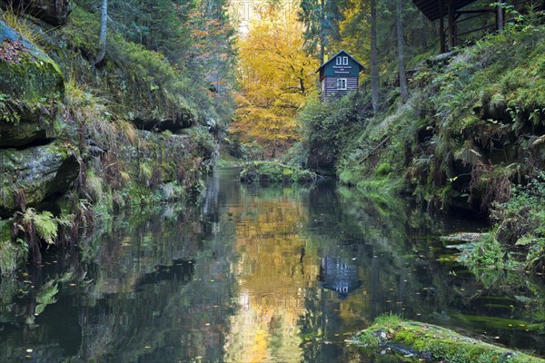Autumn in the Edmundsklamm gorge with the river Kamenice