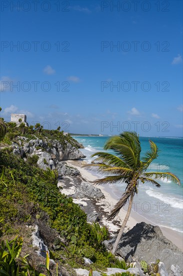 Pre-Columbian Mayan walled city Tulum