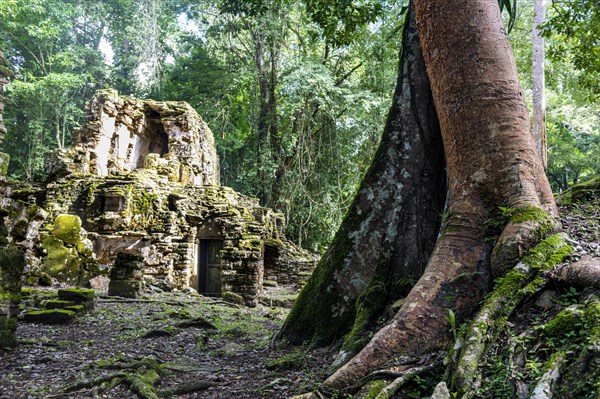 Archeological Maya site Yaxchilan in the jungle of Chiapas