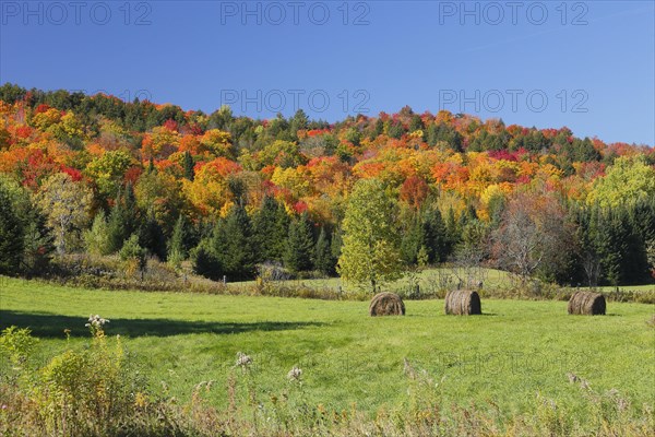 Autumn landscape in the Red River Region