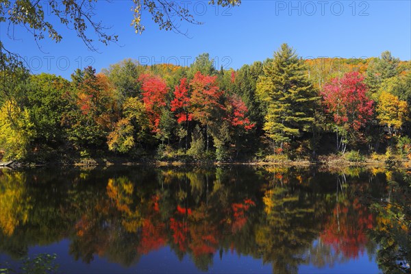 Red River in Autumn