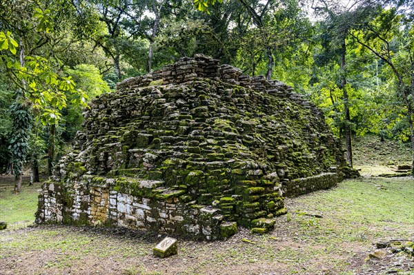 Archeological Maya site Yaxchilan in the jungle of Chiapas