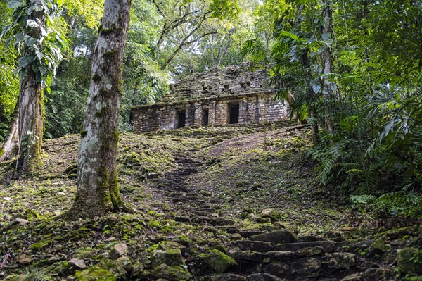 Archeological Maya site Yaxchilan in the jungle of Chiapas