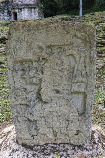 Archeological Maya site Yaxchilan in the jungle of Chiapas