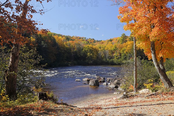 Red River in Autumn