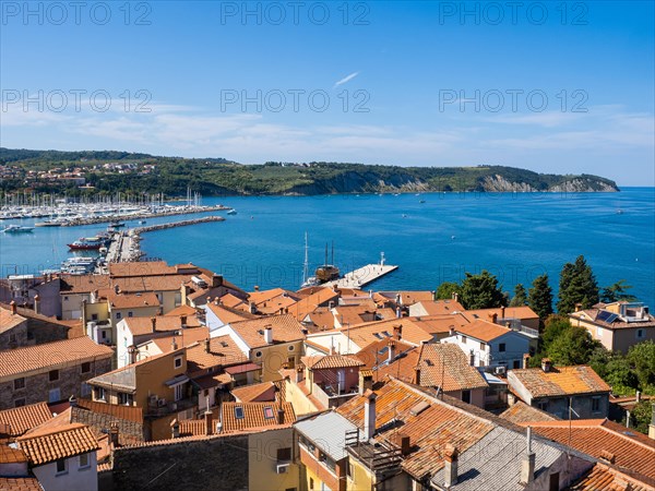 View from the Campanile of the harbour