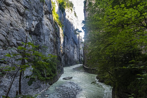 River Aare flowing through the Aare gorge