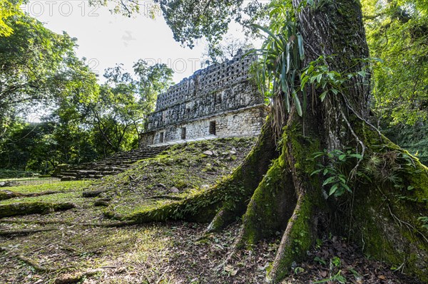 Archeological Maya site Yaxchilan in the jungle of Chiapas