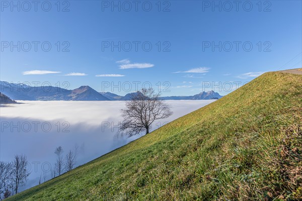 Sea of fog over the Vitznau region