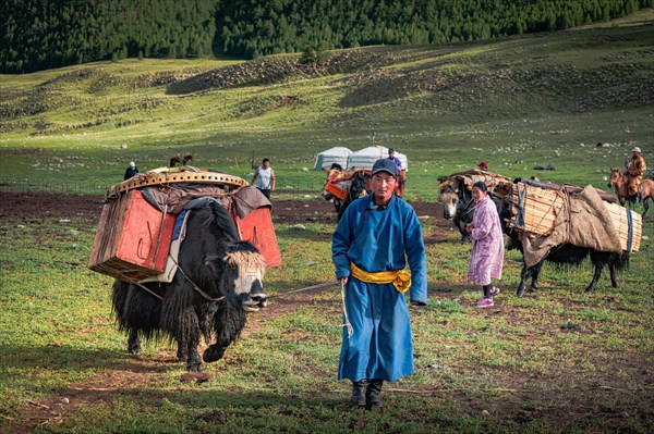 The nomadic family moves with yaks in the summer. Bayanhongor Province