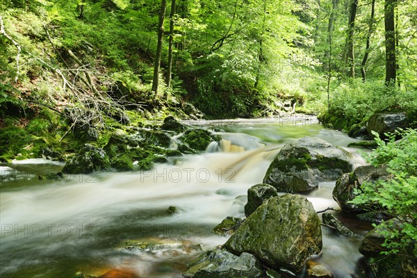 Stream course of the Hoegne