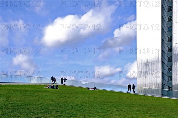 The green roof of the Koe Bogen II. A walkable