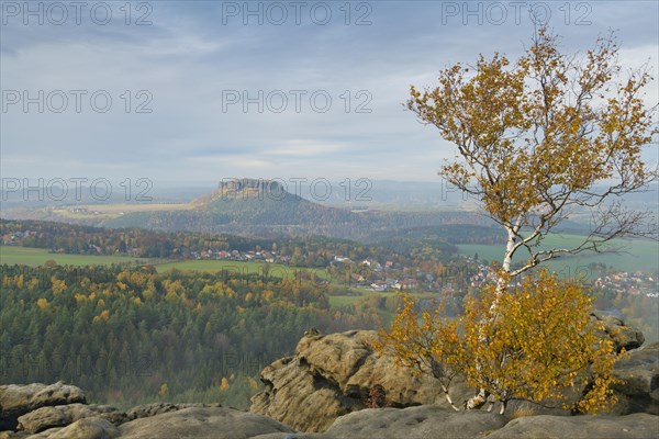 Autumn landscape