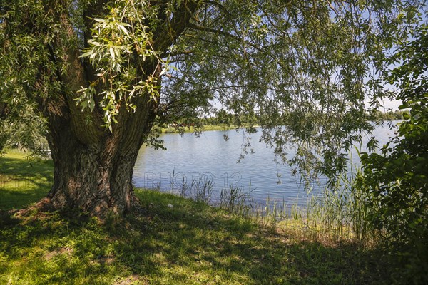 Ludwigsfelder See