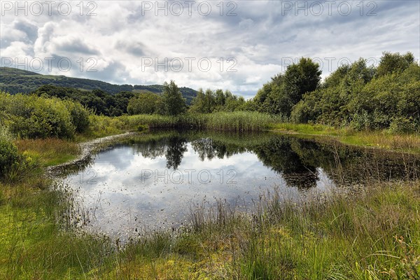 Pond in the UNESCO Dyfi Biosphere Reserve