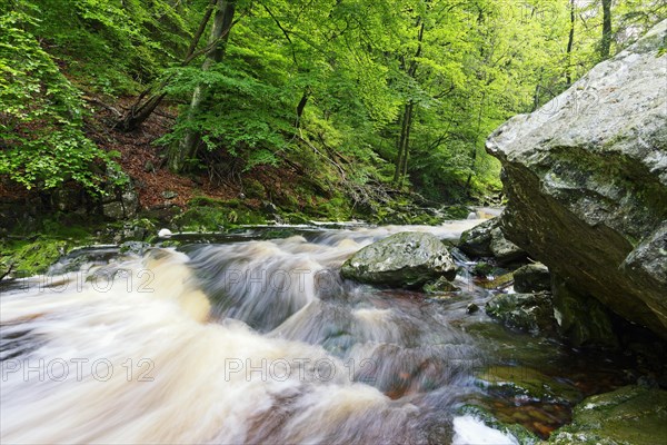 Stream course of the Hoegne