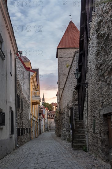 Epping Tower and alley Laboratooriumi on the city wall