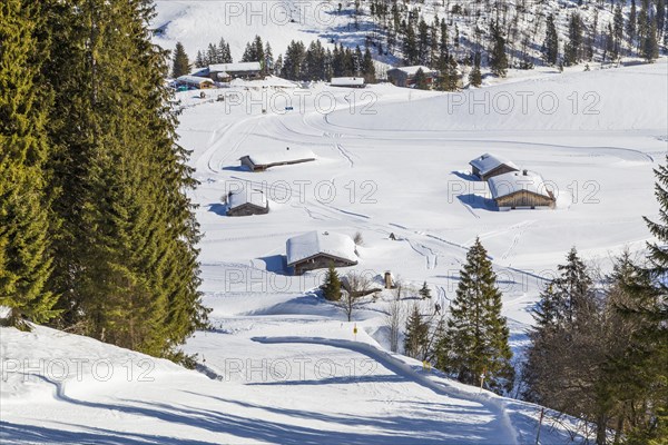 Finish slope of the Gruensee downhill run