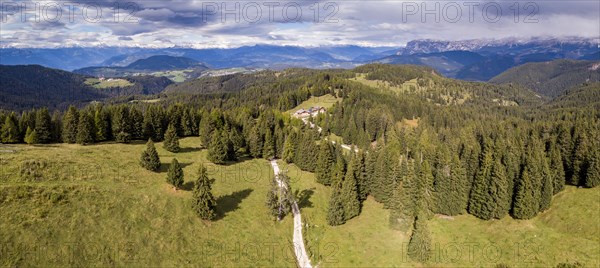 Woods on the Weisshorn