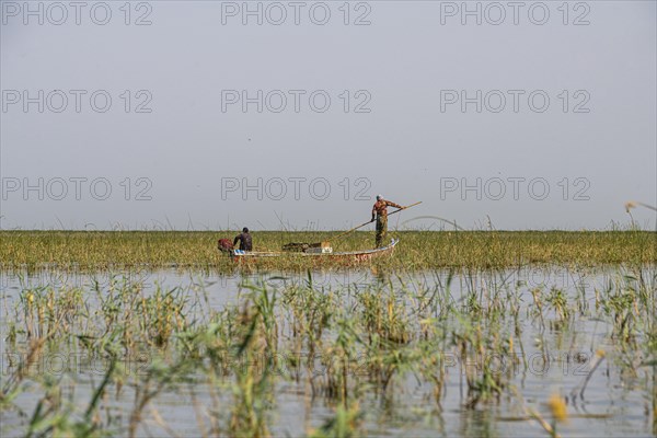 Little boat in the Mesopotamian Marshes