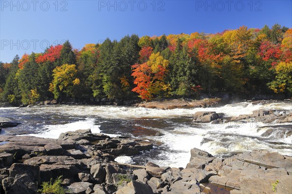 Red River in Autumn