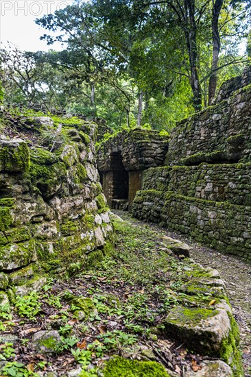 Archeological Maya site Yaxchilan in the jungle of Chiapas