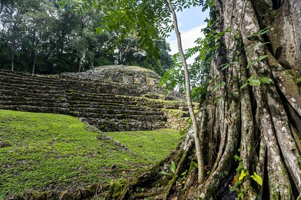 Archeological Maya site Yaxchilan in the jungle of Chiapas