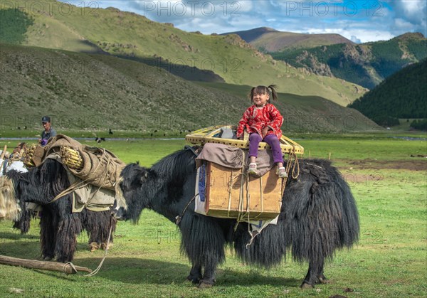 The nomadic family moves with yaks in the summer. Bayanhongor Province