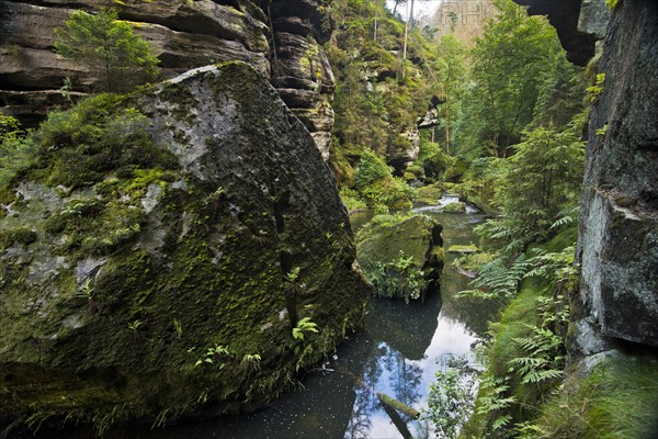 Edmundsklamm with river Kamenice