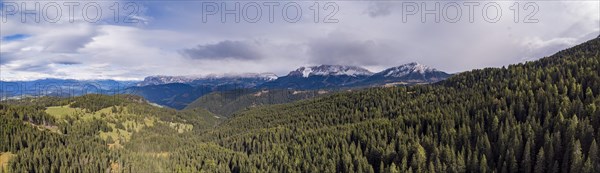 Woods on the Weisshorn