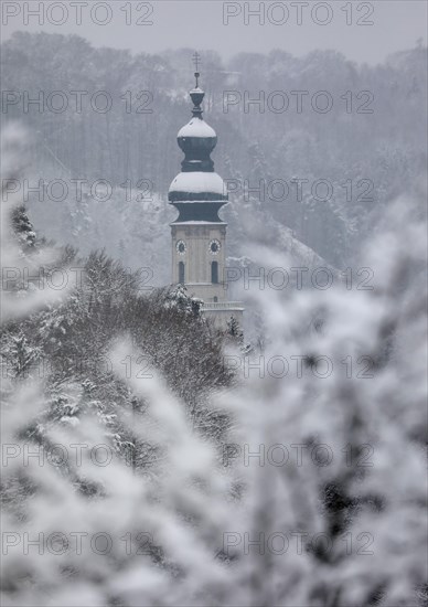 Church tower overlooks snowy winter forest in Salzach valley