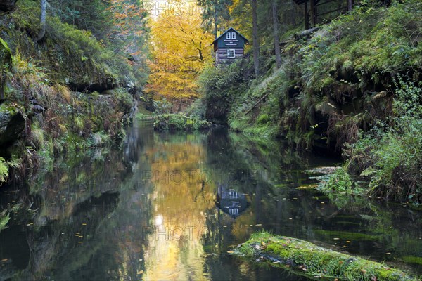 Autumn in the Edmundsklamm gorge with the river Kamenice