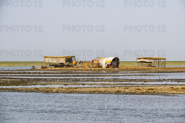 Reed house of Marsh Arabs