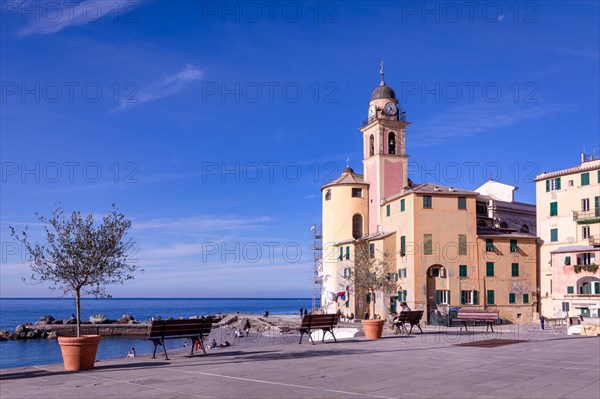 The church in Camogli