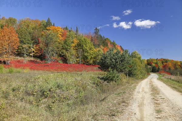 Autumn landscape in the Red River Region