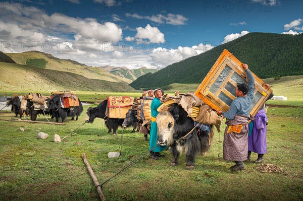 The nomadic family moves with yaks in the summer. Bayanhongor Province