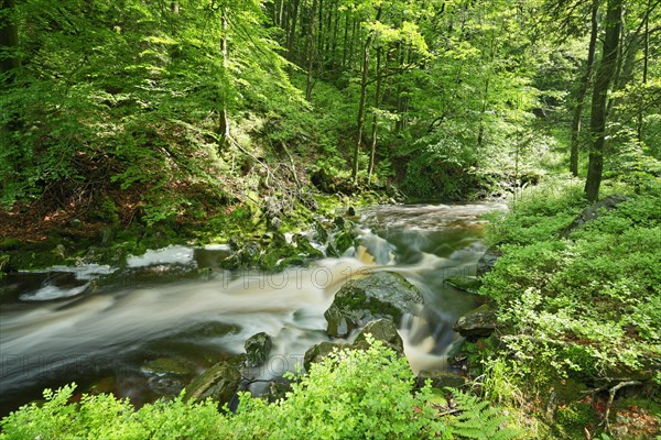 Stream course of the Hoegne