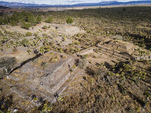 Aerial of the Mesoamerican archaeological site Cantona