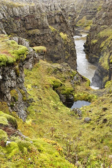 Vidiidalsa river