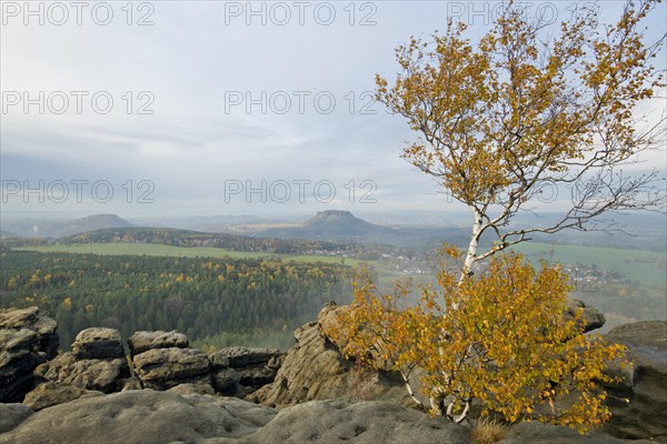 Autumn landscape