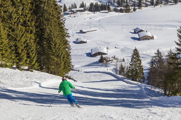 Finish slope of the Gruensee downhill run