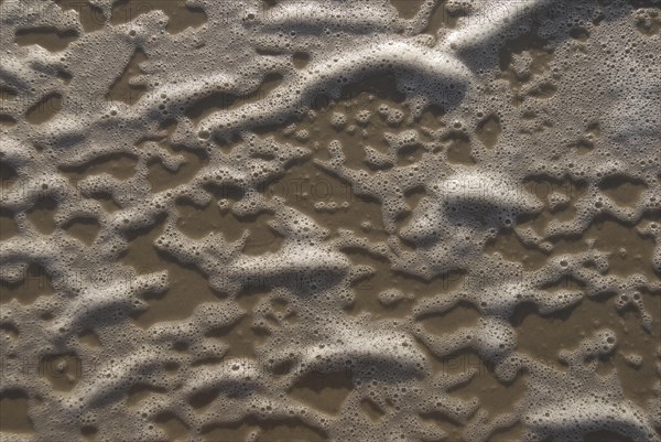 Foam formation due to wind and waves on the beach